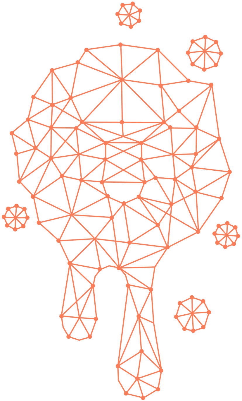 Partnership Network